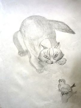 Рогачёва Лилия, 14 лет, Кот и воробей, б., карандаш, г. Серафимович