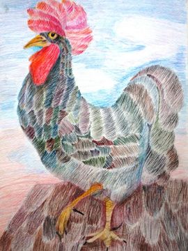 Сёмина Анастасия, 12 лет, Чёрная курица, б., цв. карандаши, ДХШ №4, г. Саранск, респ. Мордовия