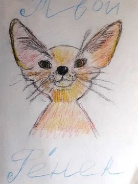 Мария Риман, 12 лет, б., цвет. каран. 