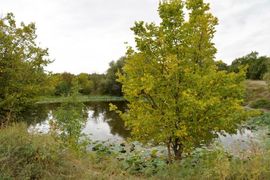 Воронина Лариса. Озеро Змеиное.