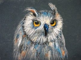 Колесников Дмитрий, 13 лет, Сова, тон. б.,  пастель, преп. Просветина