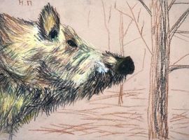 Подколзин Никита, 13 лет, Кабан, тон. б., пастель, преп. Иваничкина Т. Г.