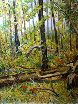 «Осенний лес», орг., м., 50х40, 2019 г.