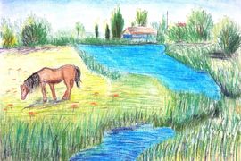 Гайворонская Дарья, 14 лет, Вольный конь, б., пастель, ДШИ им. Ю.А. Гагарина, г. Котельниково, Волгоградской обл.