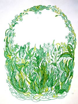 Корнилова Анна, 13 лет, Мир сказочных растений, б., фломастеры, ДХШ Росток, п. Палех, Ивановская обл.