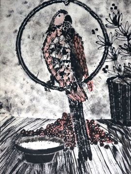 Недоёкина Татьяна, 13 лет, Попугай, г. Волгоград