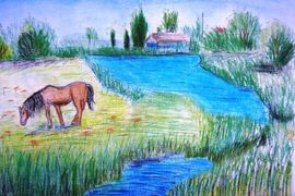 Гайворонская Дарья,14 лет,Вольный конь,б.,пастель,ДШИ им.Гагарина, г.Котельниково, Волгоградской области