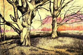 Полюдова Анна, 14 лет,Деревья,б.,смеш. техника,Ольховская ДШИ,с.Ольховка,Волгоградская область