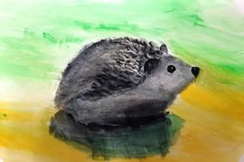  Конюхова Варвара, 9 лет, Ёж обыкновенный,   Нижегородская обл., п.Пильна